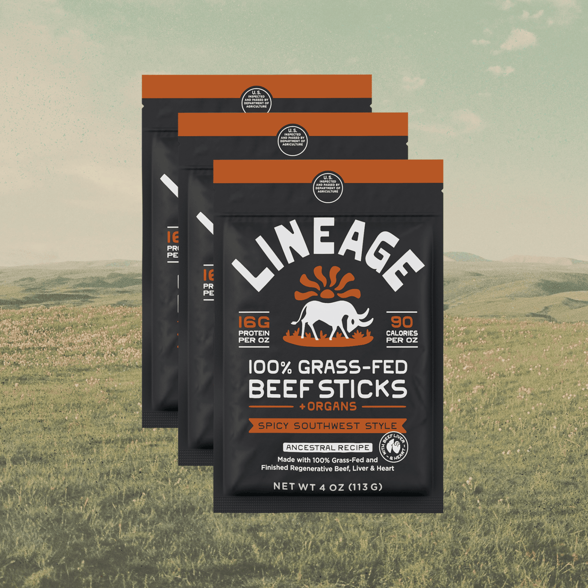 Lineage Provisions  100% Grass-Fed Beef Sticks – Ancestral Variety Pack